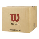 Balles De Tennis Wilson TRINITI CLUB 36 TBALL Special Edition